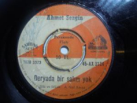 AHMET SEZGİN