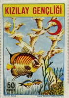 NADİR KOLEKSİYONLUK TÜRK KIZILAYI GENÇLİK YARDIM PULU 50 KURUŞ MERCAN BALIĞI TEMALI POSTADAN GECMEMİS