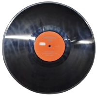 ANTİKA ALMAN YAPIMI BELGESEL SERİSİ 33 LÜK PLAK ADOLF HITLER PROPAGANDA DÖNEMİ