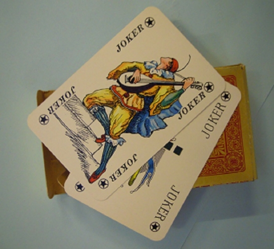  ROMME BRIDGE CANASTA 13 İSKAMBİL KART