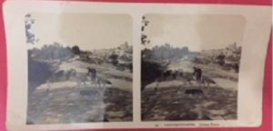  STEREOSKOP  KART OSMANLI  3 BOYUTLU KART  CONTANTINOPLE CHİENS SURLARDA KÖPEK BESLEYENLER