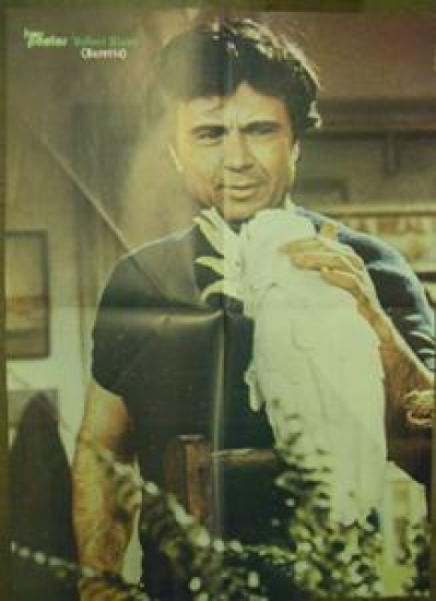 HEY POSTER / ROBERT BLAKE (BARETTA) OFSET RENKLİ BASKI 