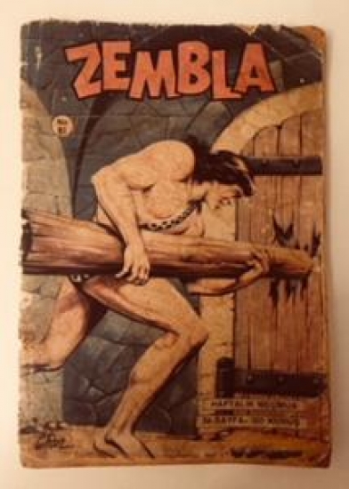 ZEMBLA NO 81 SİYAH BEYAZ ÇİZGİ ROMAN ARK KAPAĞI YOKTUR 