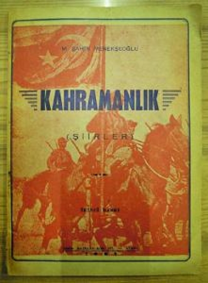 M.ŞAHİN MENEKŞE OĞLU 