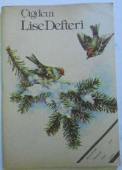 ÇİĞDEM LİSE DEFTERİ ÇİZGİLİ BEYAZ RESİMLİ VE ÇARPIM  KAPAK LİSE DEFTERİ 