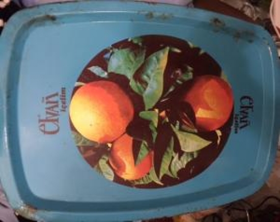 ELVAN MEYVELİ İÇECEK PORTAKAL TEMALI TENEKE TEPSİ 