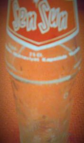 SEN SUN GAZOZ BOŞ ŞİŞE 250 ml İZMİR 