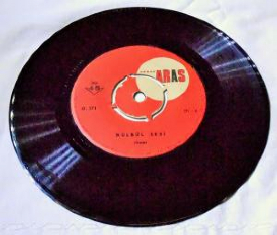 BÜLBÜL KUŞ SESİ KUŞLARA ÖĞRETİM DERSİ 45 LİK PLAK