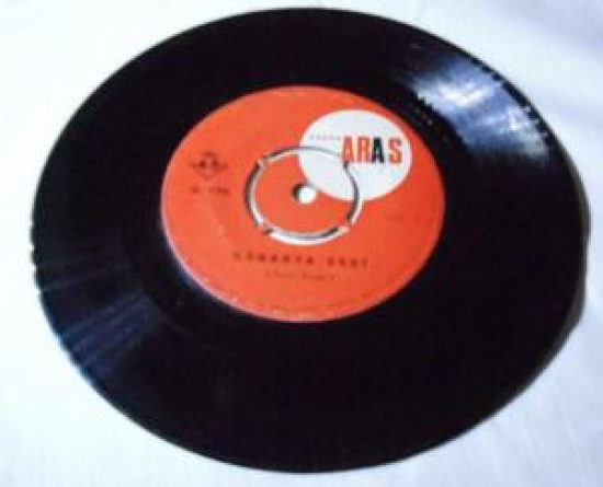 KANARYA SESİ 45 LİK PLAK KUŞ ÖTÜŞ DERSİ İÇİN 