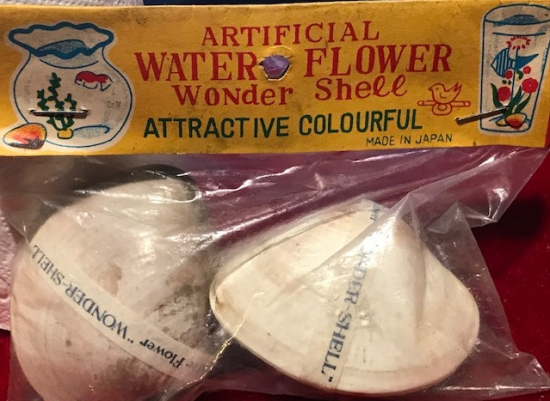 FLOWER WONDER SHELL 1950 ARTIFICIAL WATER  SU CİCEGİ İSTİRİDYE