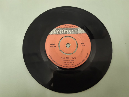 REPRİSE PLAK YOU ARE THERE THE WORLD WE KNEW 45 LİK YABANCI PLAK 