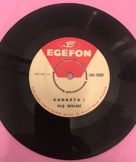 KANARYA KUŞ SESLERİ KUŞ DERS PLAGI 45 LİK YERLİ PLAK