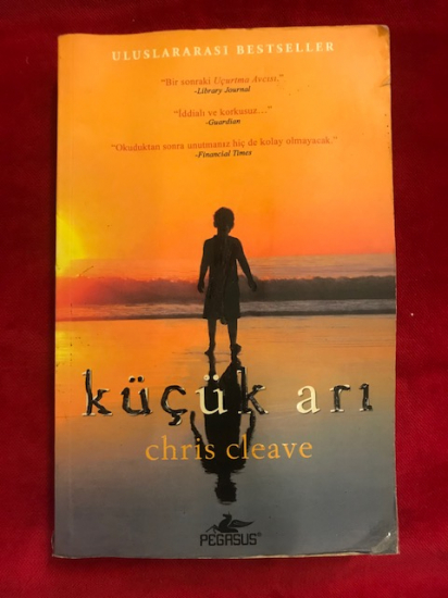 ULUSLAR ARASI BESTSELLER KÜÇÜK ARI  CHRIZ CLEAVE