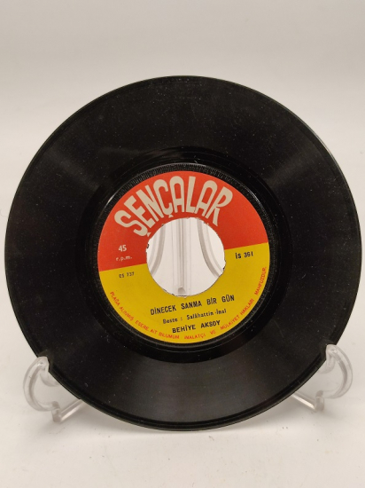 BEHİYE AKSOY DİNECEK SANMA BİRGÜN-SAÇININ TELLERİNE 45 LİK PLAK