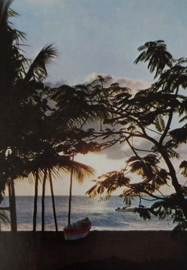 1970 İSTANBUL BÜYÜKADANIN SAHİL GÖRÜNTÜSÜ RENKLİ  KARTPOSTAL