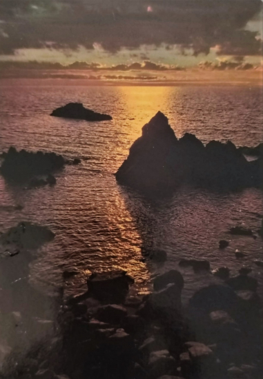 1970 İSTANBUL BÜYÜKADANIN ARKASINDAN GURUP GÖRÜNTÜSÜ  KARTPOSTAL RENKLİ OFSET BASKI ARKASI YAZILI 