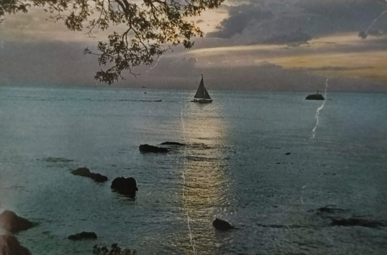 1970 İSTANBUL KADİKÖY FENERBAHCEDEN GURUP KARTPOSTAL RENKLİ OFSET BASKI 