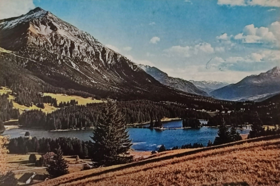 1970 ABANT KARTPOSTAL RENKLİ OFSET BASKI ARKASI YAZILI POSTADAN GECMİŞ