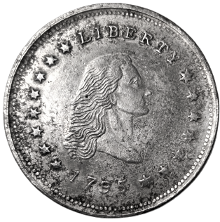 LİBERTY 1795 UNİTED STATES OF AMERICA SİLVER ONE DOLLAR GÜMÜŞ 1 AMERİKAN DOLARI ( replikadır )