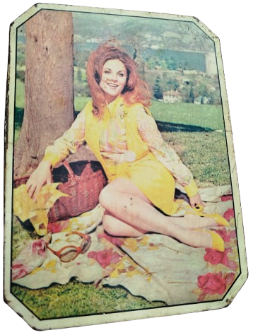 1970 KAPAKLI TENEKE KUTU ÜZERİNDE SANATCI ESEN PUSKULLU RESİMLİ KUTUNUN DORT KISMIDA RESİMLİDİR 