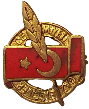 1960 GAZETECİLER CEMİYETİ YAKA  ROZET SICAK MİNELİ TURK BAYRAGI VE TUY DİVİT  KALEMLİ