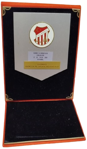 2001 ISTANBUL AIKIDO IL BIRINCILIGI HATIRA PLAKETI VE KOLEKSIYONLUK SPOR ODULU