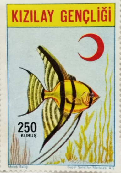 NADİR KOLEKSİYONLUK TÜRK KIZILAYI GENÇLİK KOLU 250 KURUŞ DEĞERİNDE MELEK BALIĞI TEMALI YARDIM PULU POSTADAN GECMEMİS