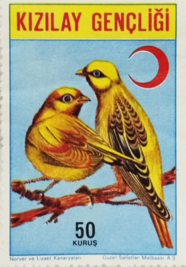 1950 LER TÜRK KIZILAY GENÇLİĞİ YARDIM PULU NORVER VE LİZAET KANARYALARI GÖRSELLERİYLE POSTADAN GECMEMİS