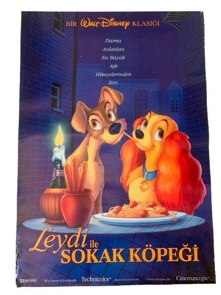 ''LEYDİ ve SOKAK KÖPEĞİ'' FİLM AFİŞİ