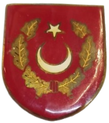 TARİHİ DEĞERE SAHİP BU ANTİKA ASKERİ BRÖVE KOLEKSİYONUNUZUN EN ÖZEL PARÇASI OLACAKTIR.