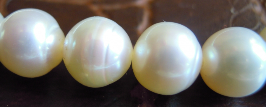 İNÇİ KOLYE SÜNİ HAVUZDA YETİŞTİRİLMİŞ