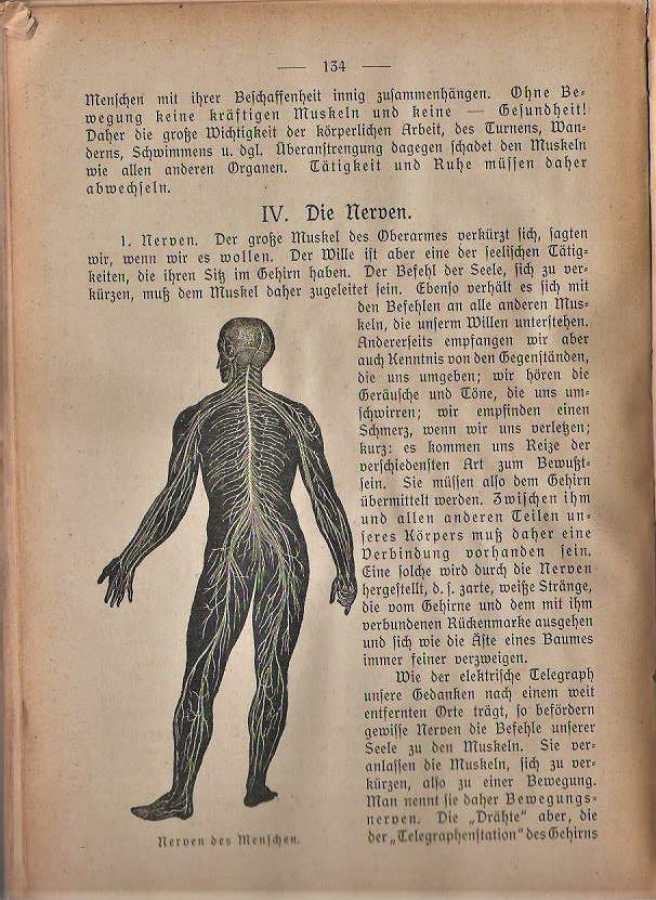 SCHMEIL GRUNDRISZ DER TIERKUNDE HAYVAN VE İNSAN BİLİMİNİN KAT PLANI 