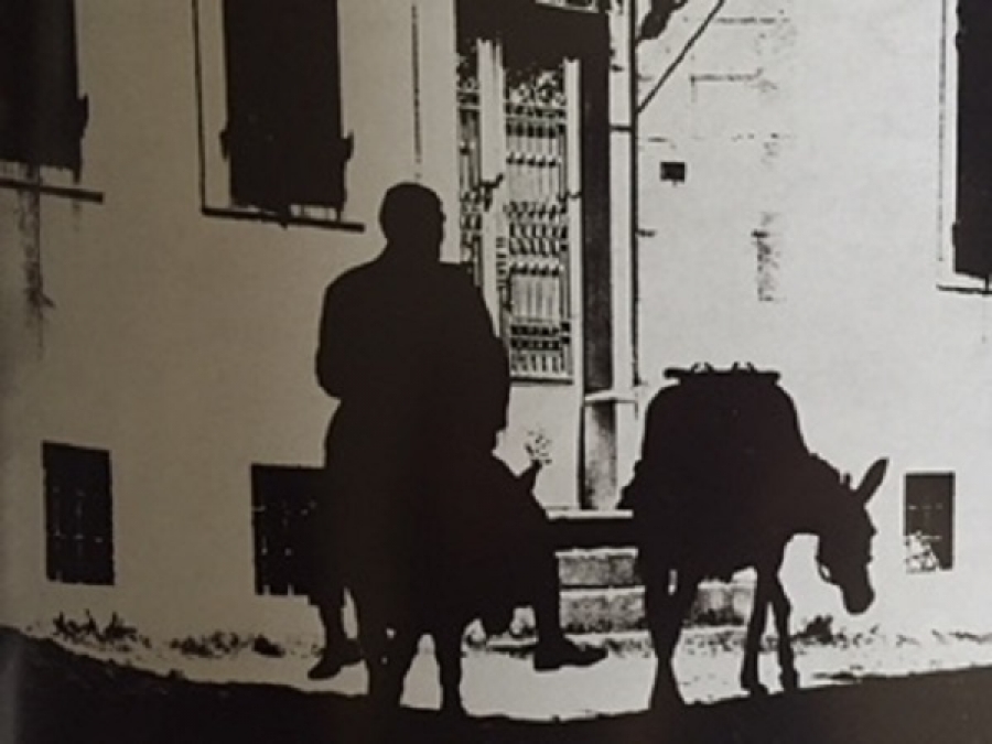 TÜRK FOTOĞRAFÇILARI KÜTÜPHANESİ 10 KAZIM ZAİM 