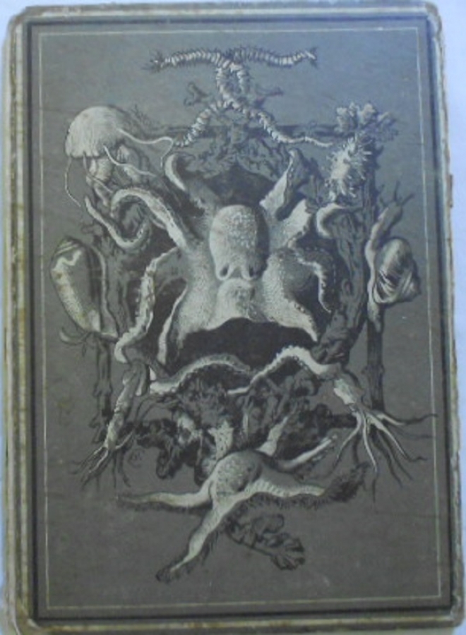 W. HAÇELBERG.ATLAS-MANUEL ZOOLOGİGUE BİTKİ ANATOMİ