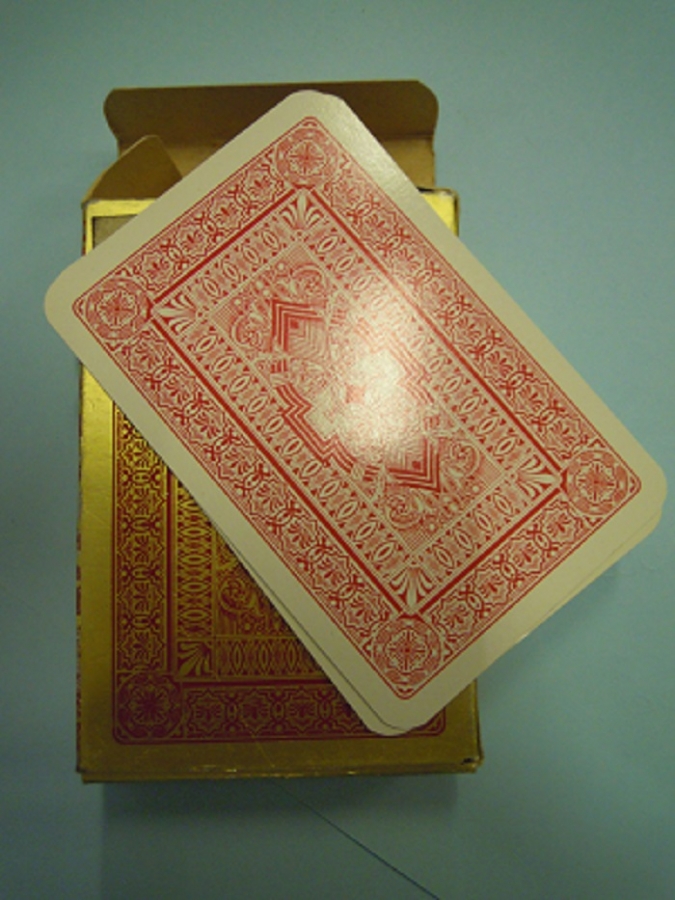  ROMME BRIDGE CANASTA 13 İSKAMBİL KART