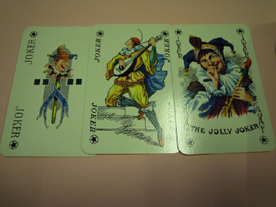  ROMME BRIDGE CANASTA 13 İSKAMBİL KART