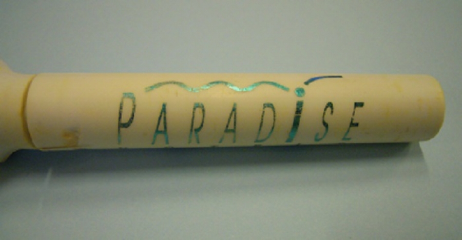 SEYEHAT TİRBUŞON ŞARAP AÇACAK 