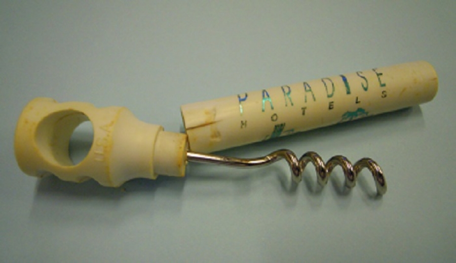 SEYEHAT TİRBUŞON ŞARAP AÇACAK 