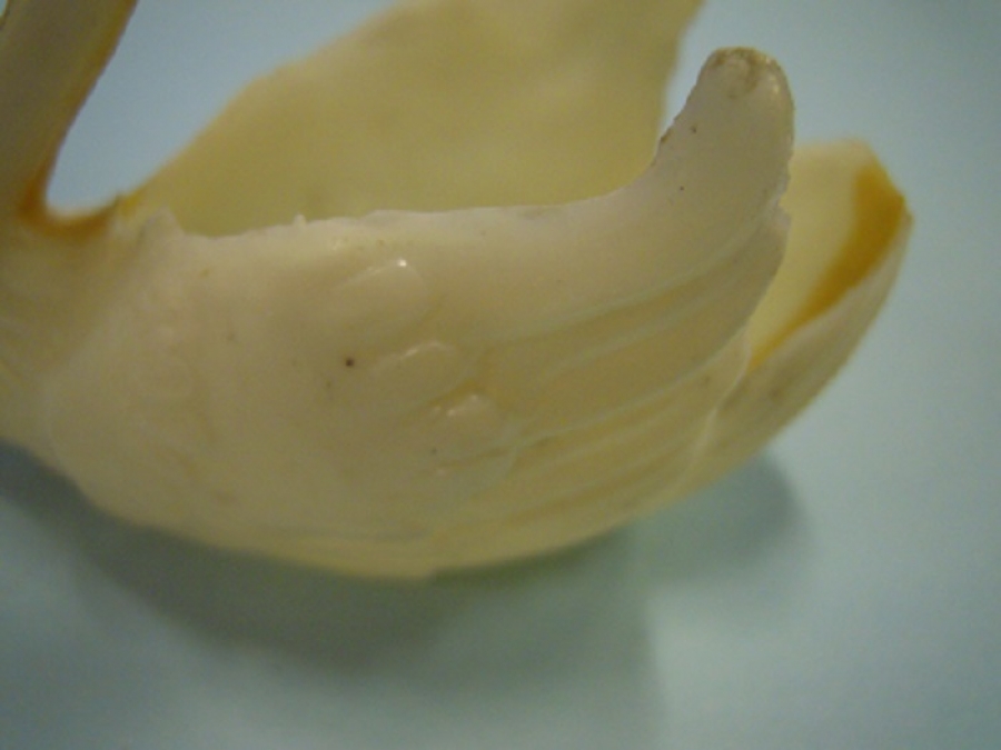 PLASTİK  KUGU BEYAZ KUŞ 