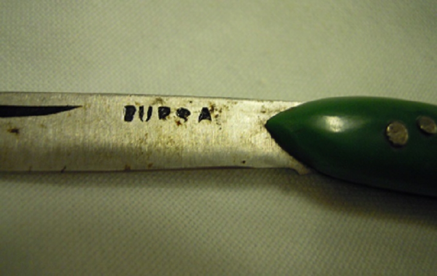 BURSA YEŞİL BALIK ŞEKLİNDE ÇAKI