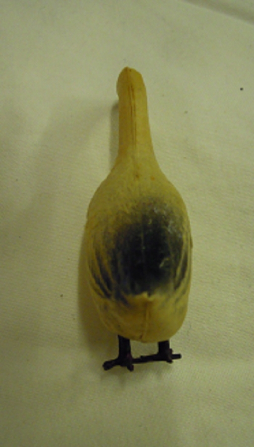 OYUNCAK PLASTİK MAKET ÖRDEK 