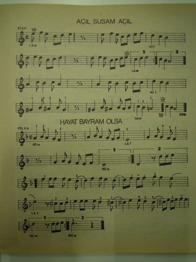 PENALI POP GİTAR METODU SOLO VE RİTM SELÇOK YILDIRIM - BESİM AKKUŞ 