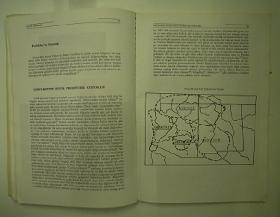 ENGİN BEKSAÇ KIZILDERİLİ SANATI'NDA PUEBLO KATÇİNAKARI 
