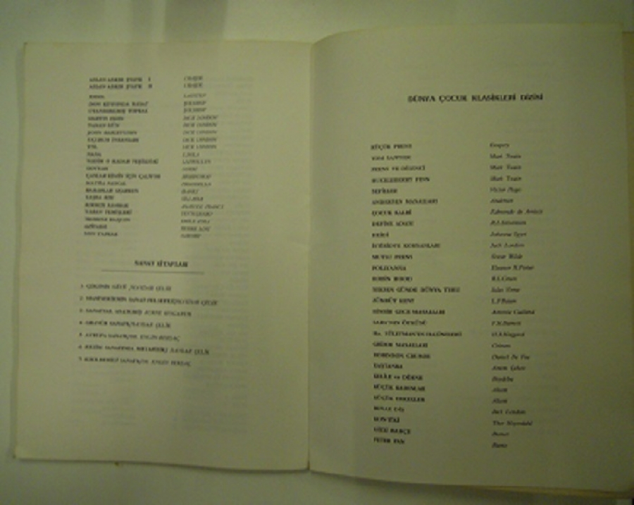ENGİN BEKSAÇ KIZILDERİLİ SANATI'NDA PUEBLO KATÇİNAKARI 