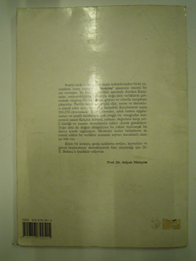ENGİN BEKSAÇ KIZILDERİLİ SANATI'NDA PUEBLO KATÇİNAKARI 