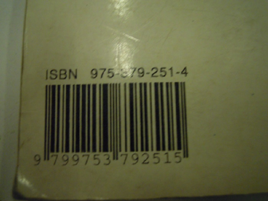 ENGİN BEKSAÇ KIZILDERİLİ SANATI'NDA PUEBLO KATÇİNAKARI 