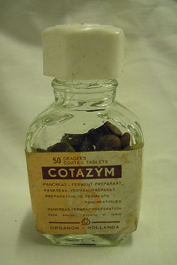 CAM ŞİŞEDE COTAZYM ORGANON - HOLLANDA 