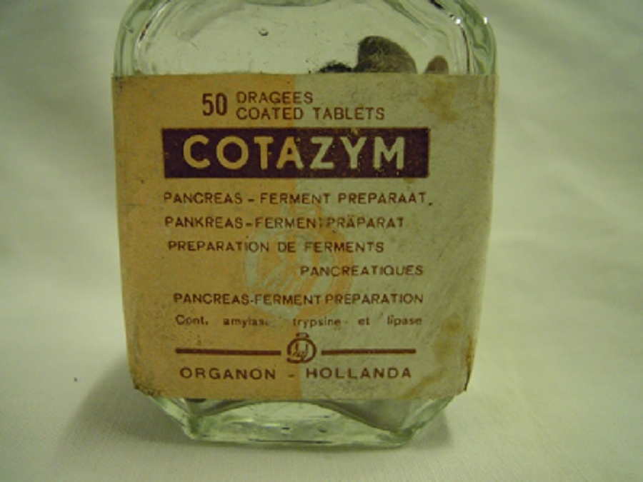 CAM ŞİŞEDE COTAZYM ORGANON - HOLLANDA 