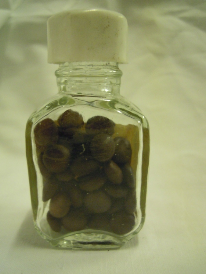 CAM ŞİŞEDE COTAZYM ORGANON - HOLLANDA 