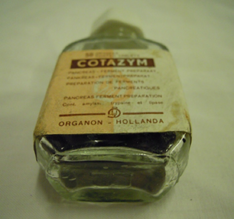 CAM ŞİŞEDE COTAZYM ORGANON - HOLLANDA 